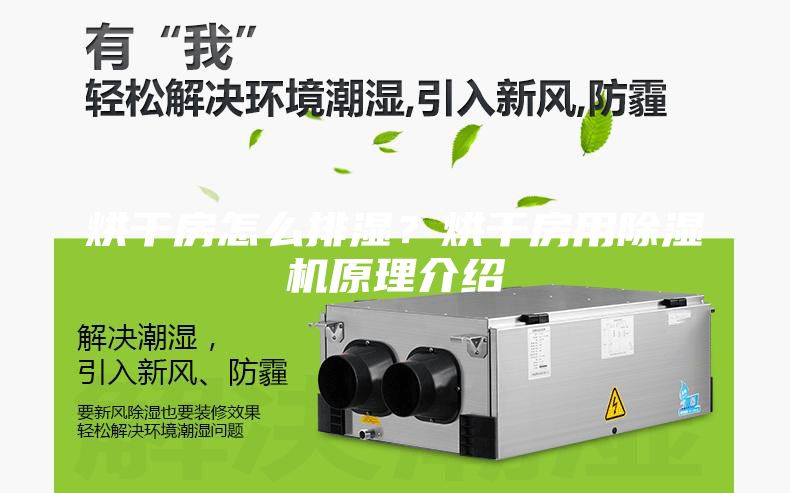 烘干房怎么排濕？烘干房用除濕機(jī)原理介紹