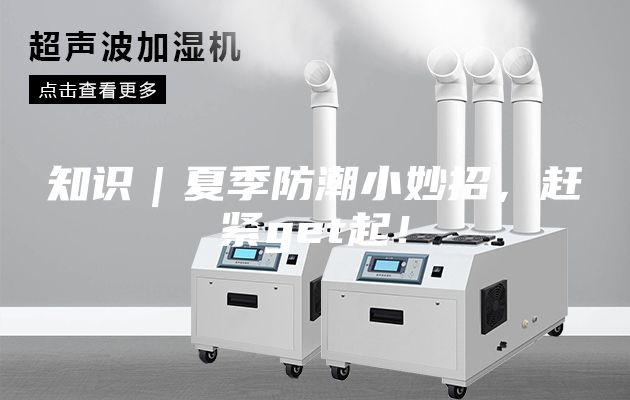 知識｜夏季防潮小妙招，趕緊get起！