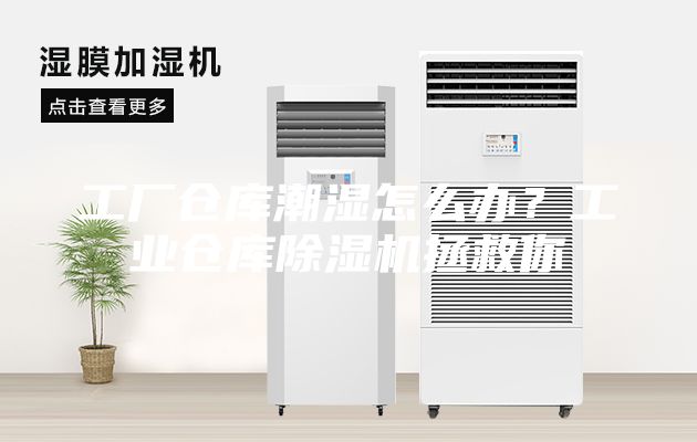 工廠倉庫潮濕怎么辦？工業(yè)倉庫除濕機拯救你