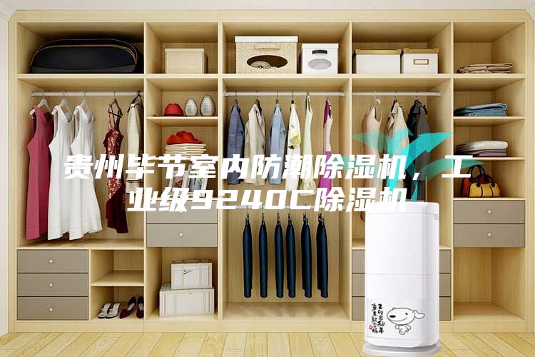 貴州畢節(jié)室內(nèi)防潮除濕機(jī)，工業(yè)級(jí)9240C除濕機(jī)