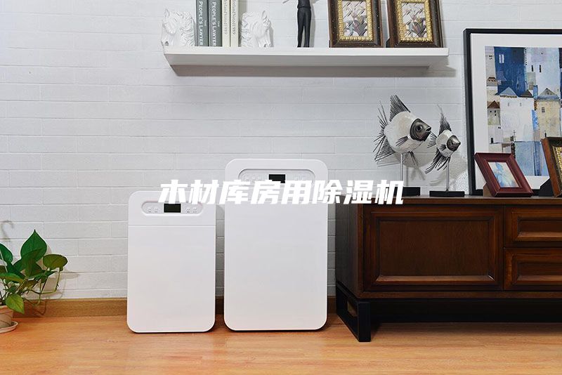 木材庫房用除濕機(jī)