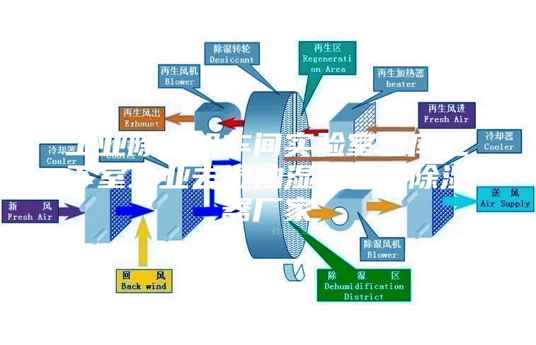 工業(yè)除濕機(jī)車間實(shí)驗(yàn)室倉庫地下室工業(yè)去濕抽濕器工業(yè)除濕器廠家