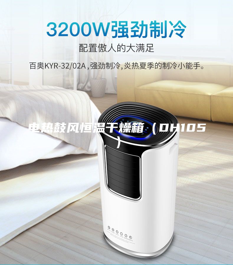 電熱鼓風(fēng)恒溫干燥箱（DH105）