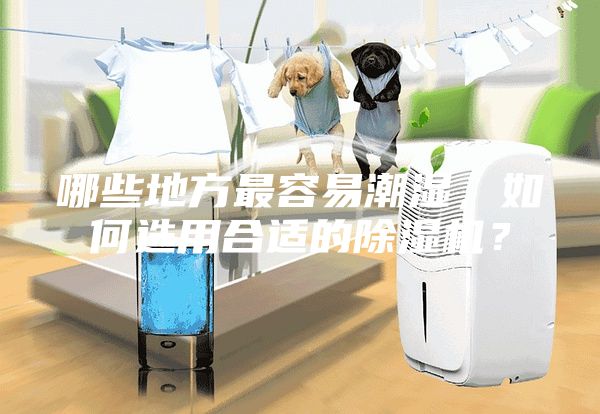 哪些地方最容易潮濕，如何選用合適的除濕機(jī)？