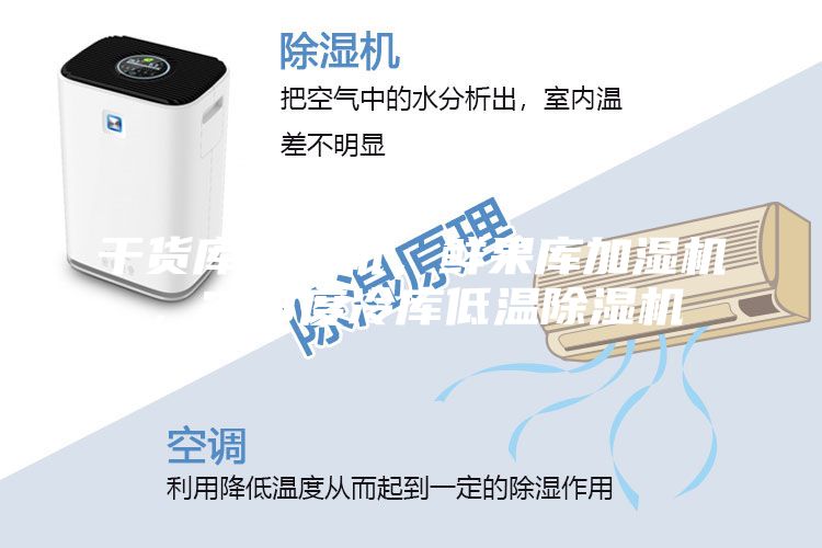 干貨庫(kù)除濕機(jī)，鮮果庫(kù)加濕機(jī)，2-8度冷庫(kù)低溫除濕機(jī)