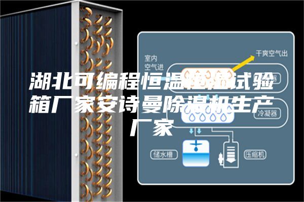 湖北可編程恒溫恒濕試驗(yàn)箱廠(chǎng)家安詩(shī)曼除濕機(jī)生產(chǎn)廠(chǎng)家