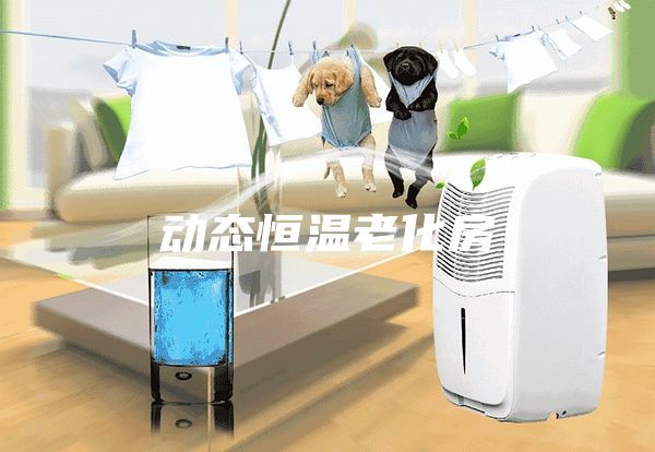 動(dòng)態(tài)恒溫老化房