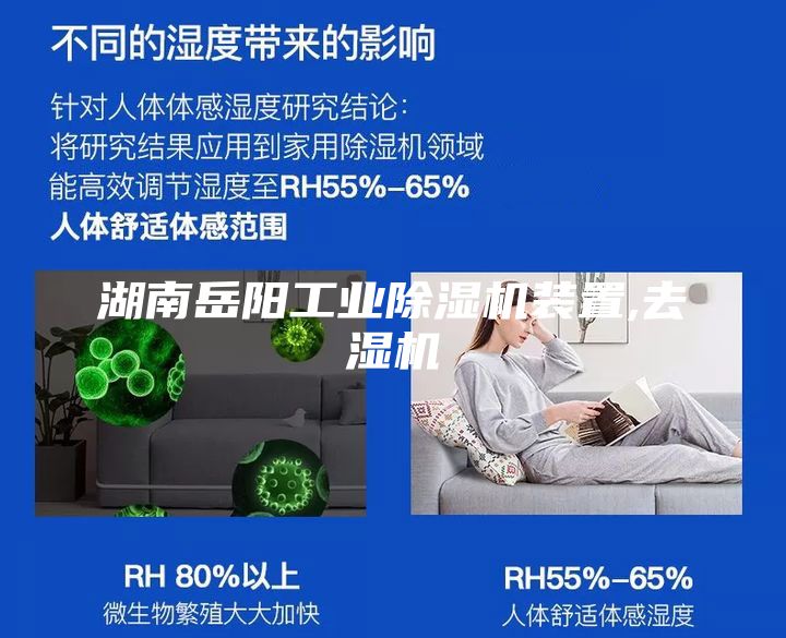 湖南岳陽工業(yè)除濕機(jī)裝置,去濕機(jī)