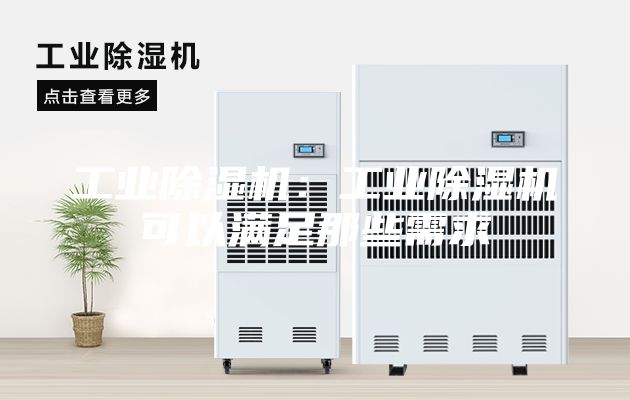 工業(yè)除濕機：工業(yè)除濕機可以滿足那些需求
