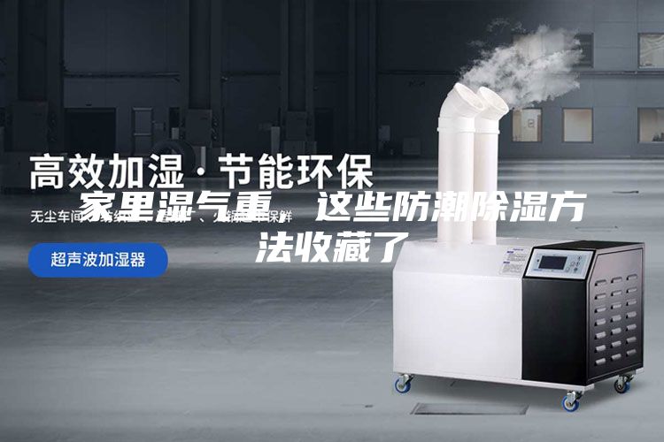 家里濕氣重，這些防潮除濕方法收藏了
