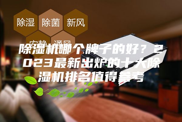 除濕機(jī)哪個牌子的好？2023最新出爐的十大除濕機(jī)排名值得參考
