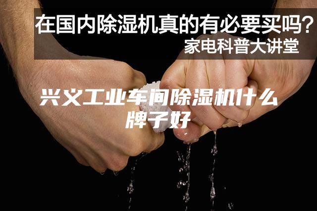 興義工業(yè)車(chē)間除濕機(jī)什么牌子好