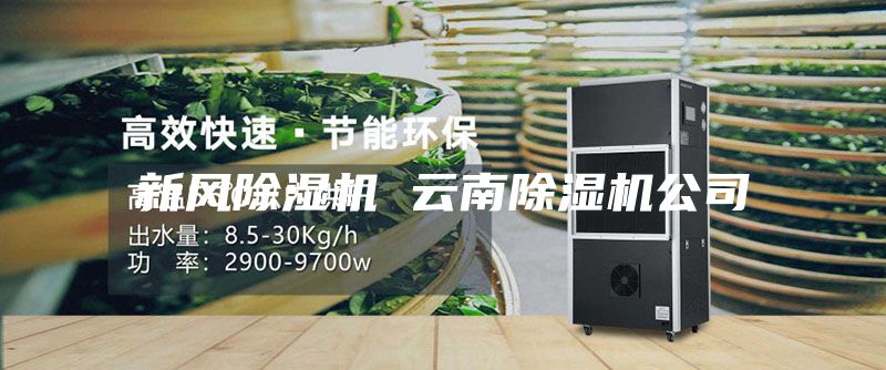 新風(fēng)除濕機(jī) 云南除濕機(jī)公司