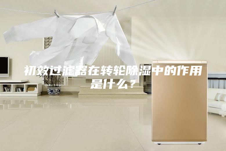 初效過(guò)濾器在轉(zhuǎn)輪除濕中的作用是什么？