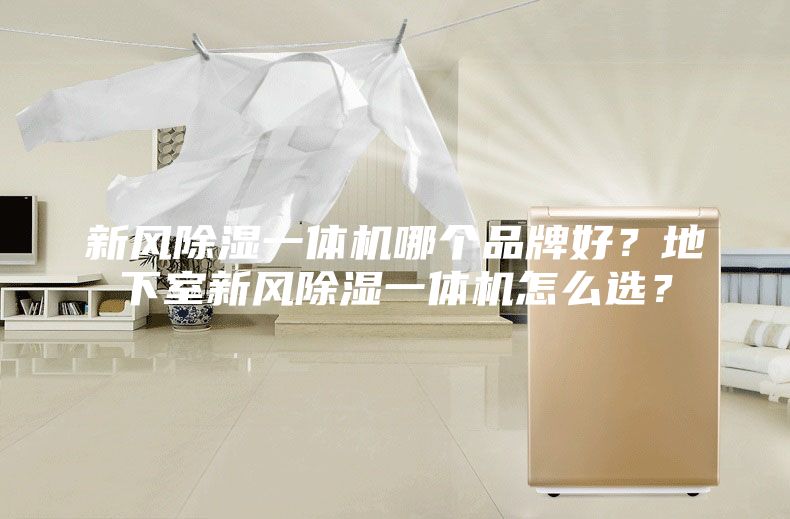 新風(fēng)除濕一體機(jī)哪個(gè)品牌好？地下室新風(fēng)除濕一體機(jī)怎么選？
