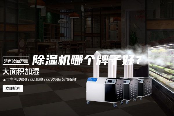 除濕機哪個牌子好？