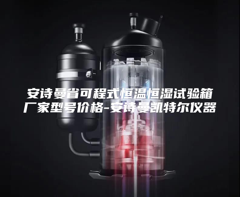 安詩(shī)曼省可程式恒溫恒濕試驗(yàn)箱廠家型號(hào)價(jià)格-安詩(shī)曼凱特爾儀器