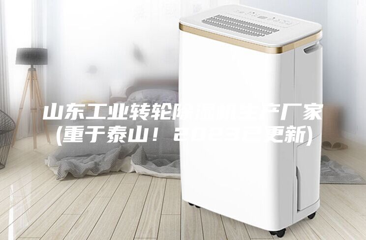 山東工業(yè)轉(zhuǎn)輪除濕機(jī)生產(chǎn)廠家(重于泰山！2023已更新)