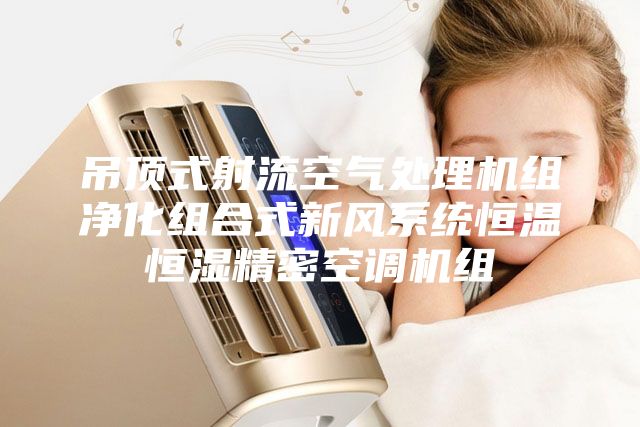 吊頂式射流空氣處理機(jī)組凈化組合式新風(fēng)系統(tǒng)恒溫恒濕精密空調(diào)機(jī)組