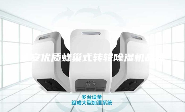 淮安優(yōu)質(zhì)蜂巢式轉(zhuǎn)輪除濕機(jī)品牌