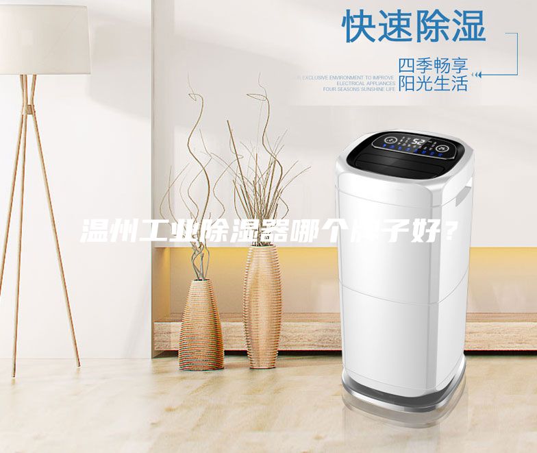 溫州工業(yè)除濕器哪個牌子好？