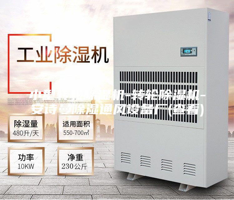小型轉(zhuǎn)輪除濕機-轉(zhuǎn)輪除濕機-安詩曼除濕通風設(shè)備廠(查看)