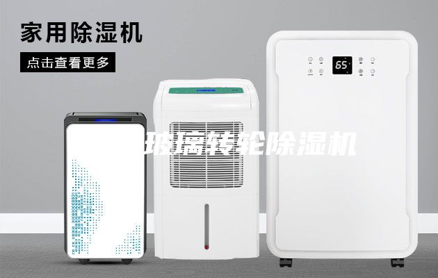 夾層玻璃轉(zhuǎn)輪除濕機