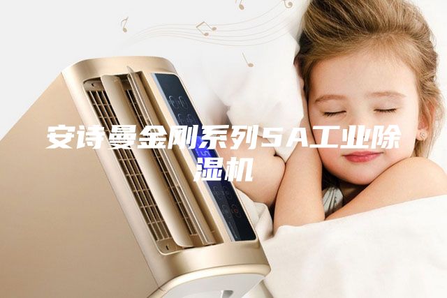 安詩(shī)曼金剛系列5A工業(yè)除濕機(jī)