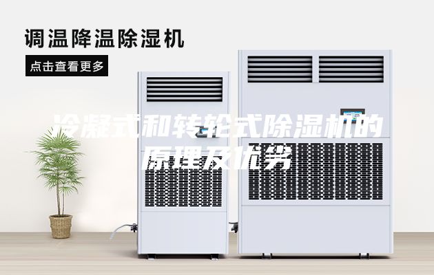 冷凝式和轉(zhuǎn)輪式除濕機(jī)的原理及優(yōu)劣