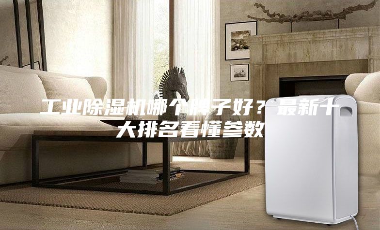 工業(yè)除濕機(jī)哪個(gè)牌子好？最新十大排名看懂參數(shù)