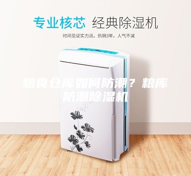 糧食倉(cāng)庫(kù)如何防潮？糧庫(kù)防潮除濕機(jī)
