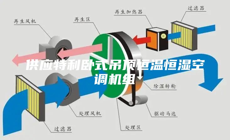 供應(yīng)特利臥式吊頂恒溫恒濕空調(diào)機(jī)組