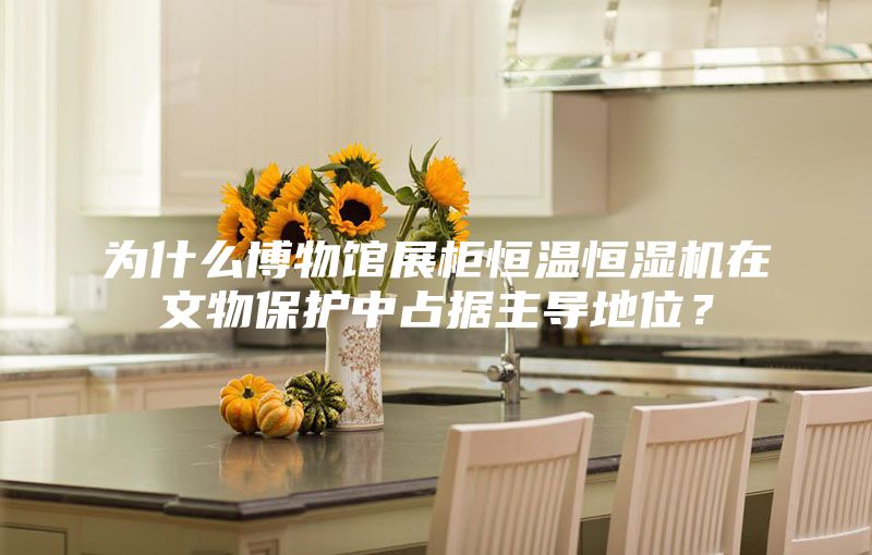 為什么博物館展柜恒溫恒濕機在文物保護中占據(jù)主導地位？