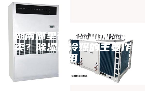 湖南哪里有除濕機(jī)加濕機(jī)賣？除濕機(jī)冷媒的主要作用