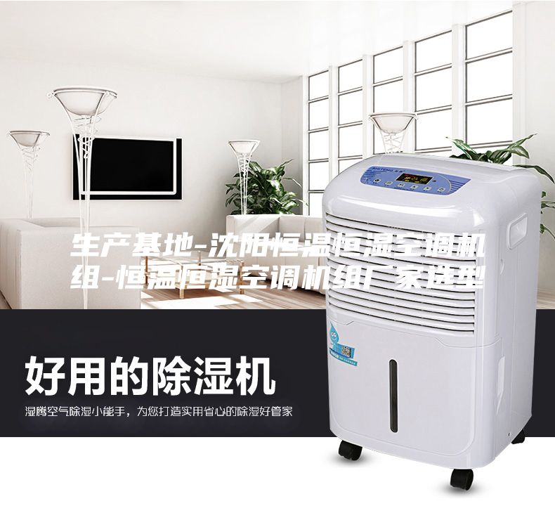 生產(chǎn)基地-沈陽(yáng)恒溫恒濕空調(diào)機(jī)組-恒溫恒濕空調(diào)機(jī)組廠家選型