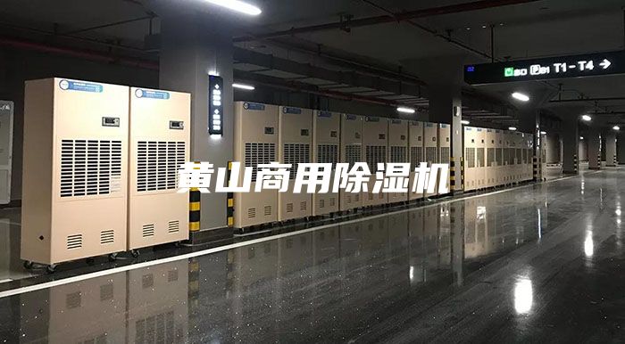 黃山商用除濕機(jī)