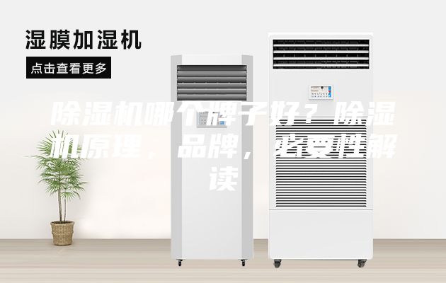 除濕機(jī)哪個牌子好？除濕機(jī)原理，品牌，必要性解讀