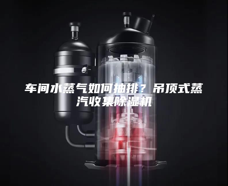 車間水蒸氣如何抽排？吊頂式蒸汽收集除濕機(jī)