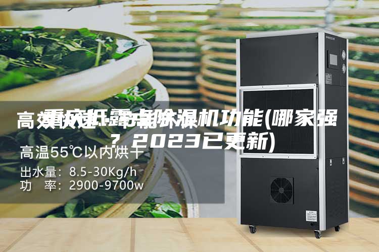 重慶低露點(diǎn)除濕機(jī)功能(哪家強(qiáng)？2023已更新)
