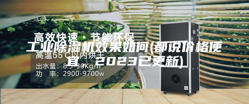 工業(yè)除濕機效果如何(都說價格便宜，2023已更新)