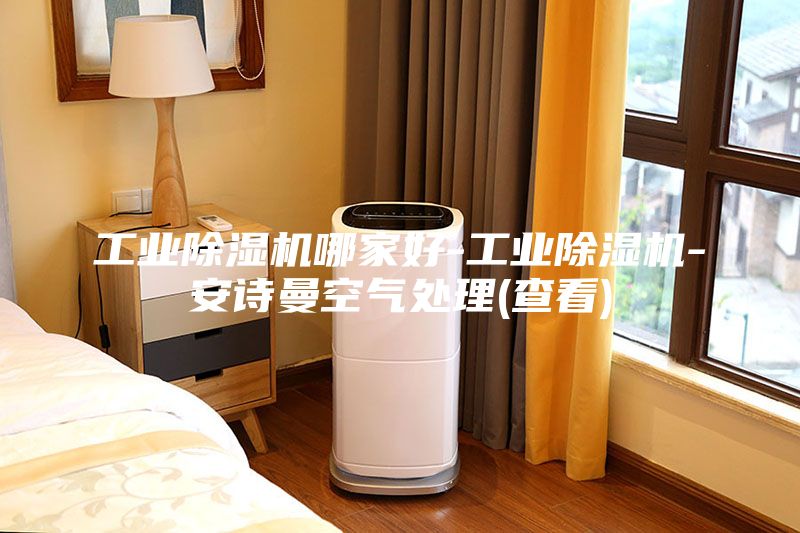 工業(yè)除濕機哪家好-工業(yè)除濕機-安詩曼空氣處理(查看)
