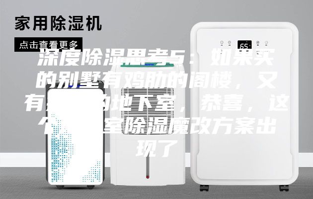 深度除濕思考5：如果買的別墅有雞肋的閣樓，又有操心的地下室，恭喜，這個(gè)地下室除濕魔改方案出現(xiàn)了