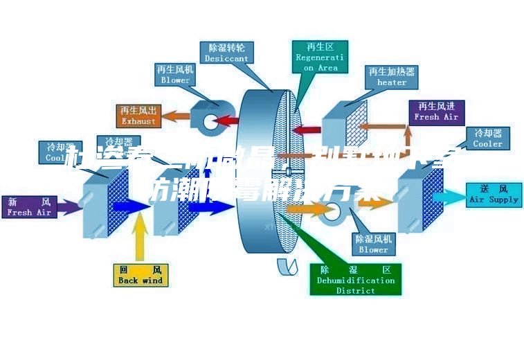 杜滲泰三防微晶，別墅地下室防潮防霉解決方案