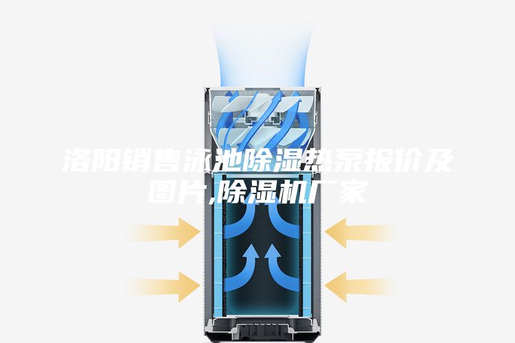 洛陽銷售泳池除濕熱泵報(bào)價及圖片,除濕機(jī)廠家